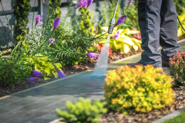 Professional Pressure Washing Services in Mansfield, MO